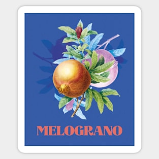 Melograno Sticker